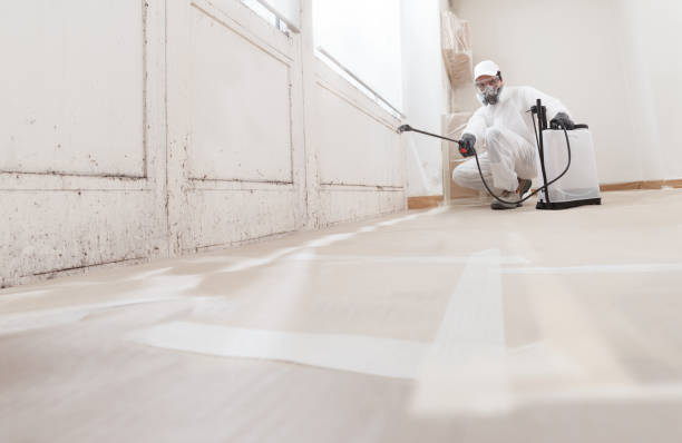 24/7 Emergency Mold Removal experts in Fulton, TX
